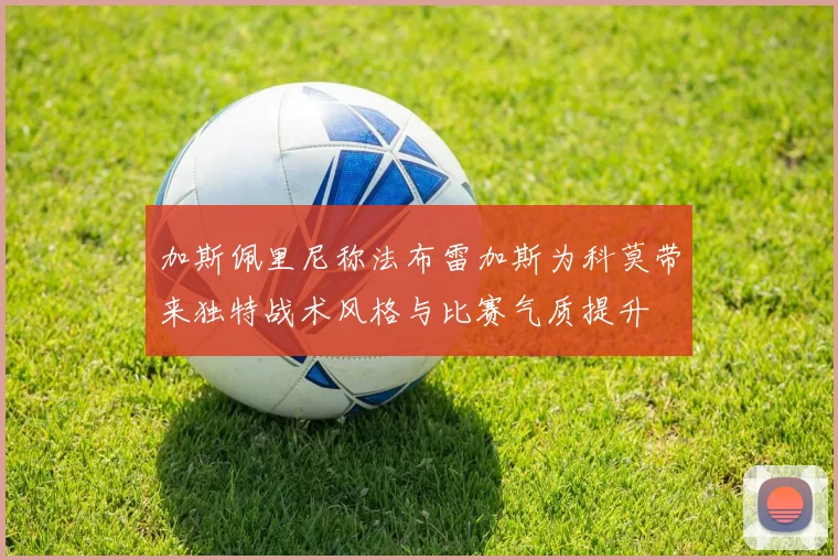加斯佩里尼称法布雷加斯为科莫带来独特战术风格与比赛气质提升